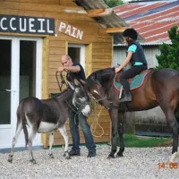 camping-les-pommiers-saintsylvestre-de-cormeilles-jeczb