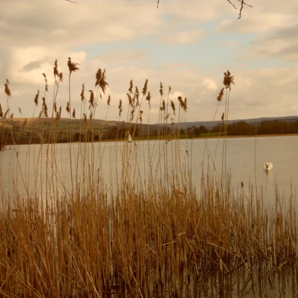 lakeside-c-c-park-llangorse-cpt0w