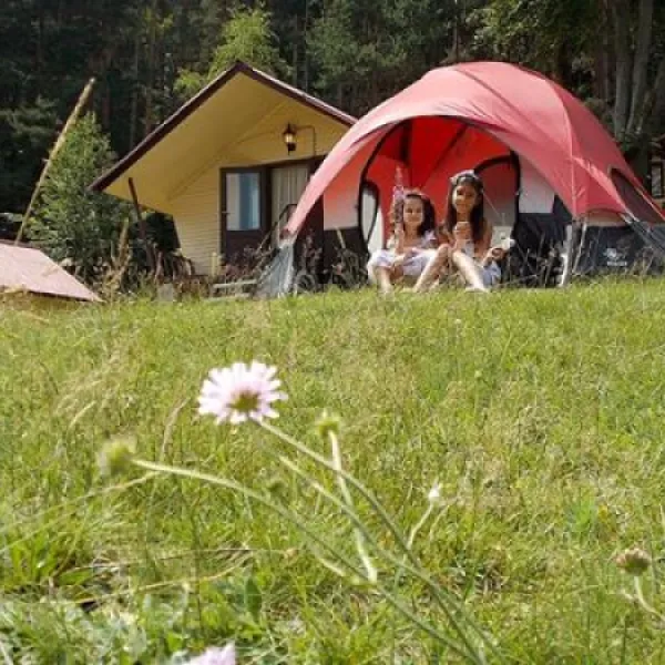 Na Zeleno Camping