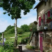 camping-aire-naturelle-domaine-le-peyral-la-salvetat-dmwlv