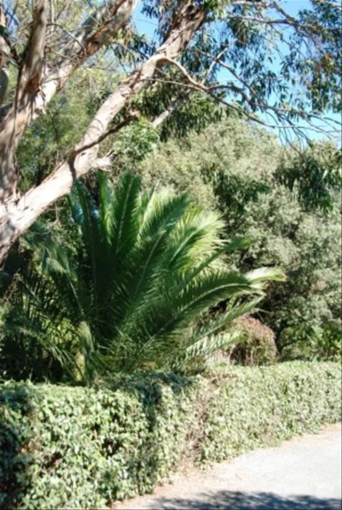 prl-domaine-de-sainte-veziane-bessan-0xdl3