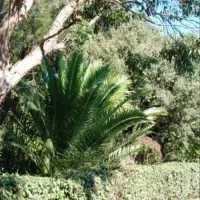 prl-domaine-de-sainte-veziane-bessan-0xdl3