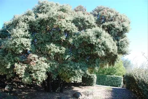 prl-domaine-de-sainte-veziane-bessan-nbemz