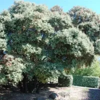 prl-domaine-de-sainte-veziane-bessan-nbemz
