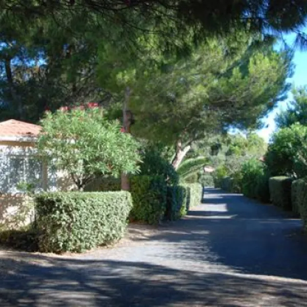 prl-domaine-de-sainte-veziane-bessan-vvcoa