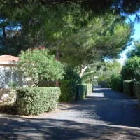 prl-domaine-de-sainte-veziane-bessan-vvcoa