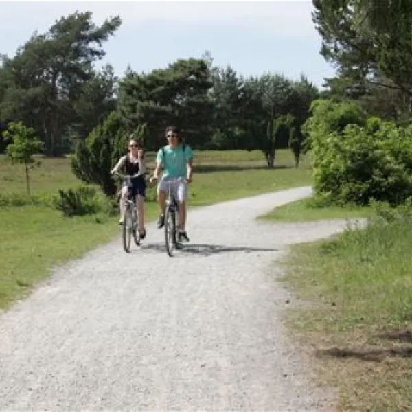 campingpark-haddorfer-seen-wettringen-vfvvc