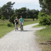 campingpark-haddorfer-seen-wettringen-vfvvc
