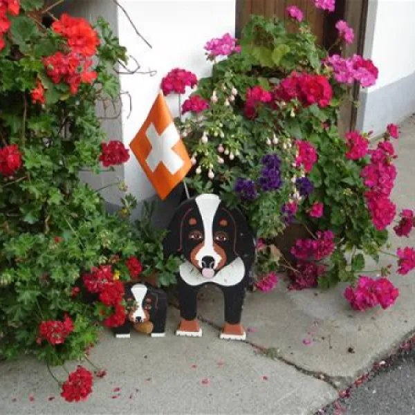 camping-oberei-wilderswilinterlaken-u7jxz
