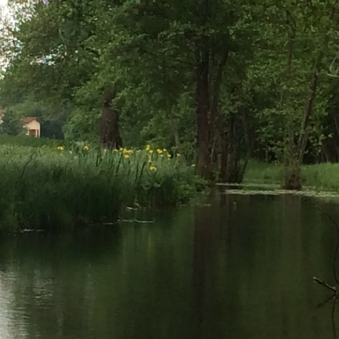 flower-camping-domaine-du-buisson-louvemont-agyzj