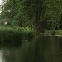 flower-camping-domaine-du-buisson-louvemont-agyzj
