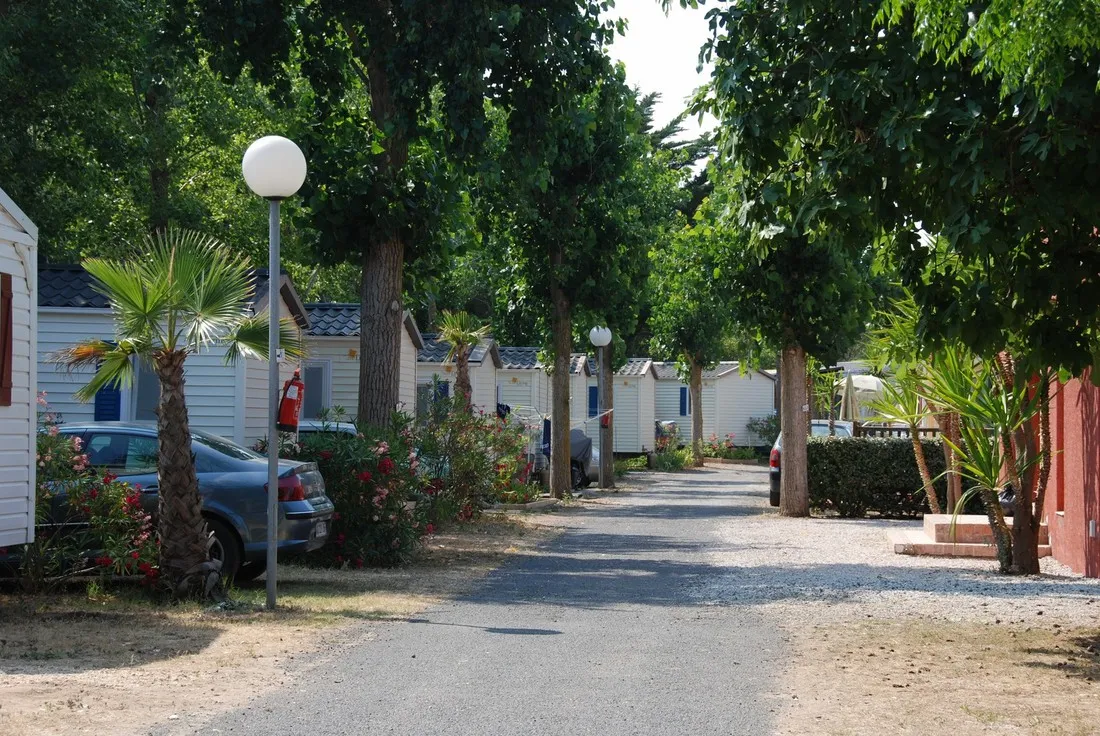 flower-camping-le-mas-de-la-plage-vias-plage-b8dw7