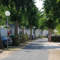flower-camping-le-mas-de-la-plage-vias-plage-b8dw7
