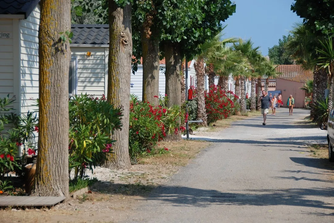 flower-camping-le-mas-de-la-plage-vias-plage-pd2rj