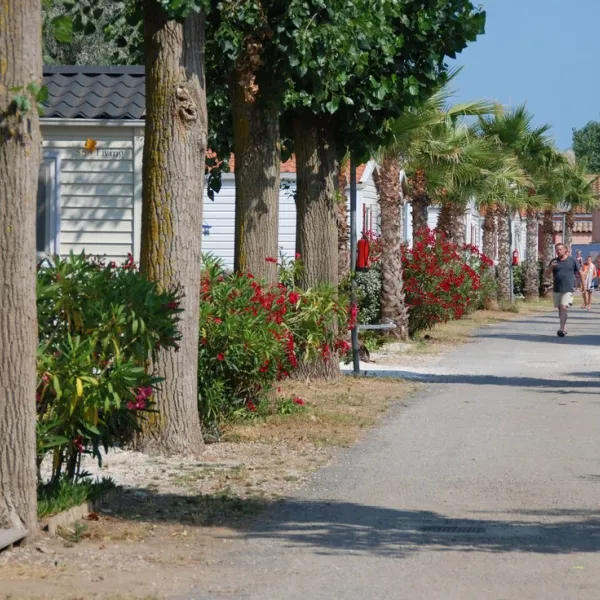 flower-camping-le-mas-de-la-plage-vias-plage-pd2rj