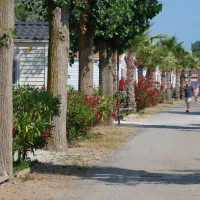 flower-camping-le-mas-de-la-plage-vias-plage-pd2rj