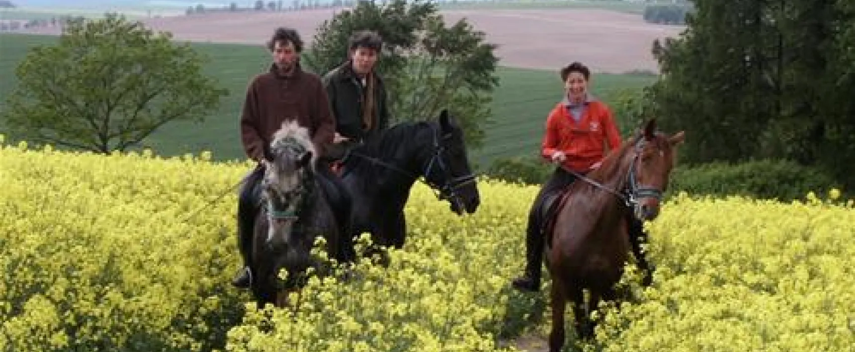 Durda-Horse Farm