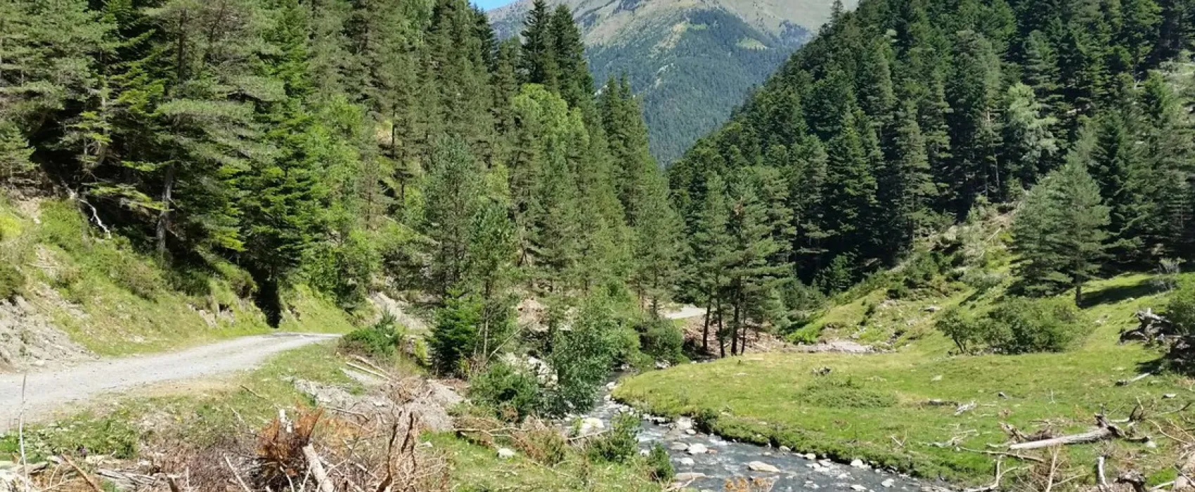 Camping Le Lustou  