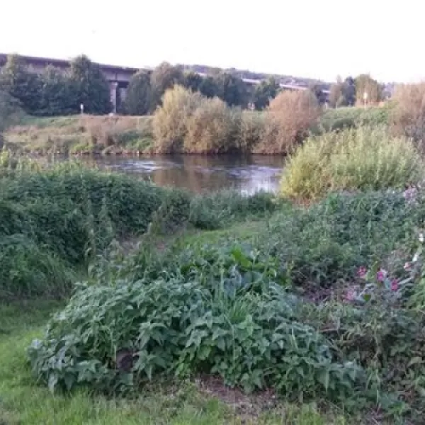 camping-an-der-kost-hattingen-j86j7