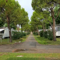 campeggio-del-garda-peschiera-del-garda-o2jl2