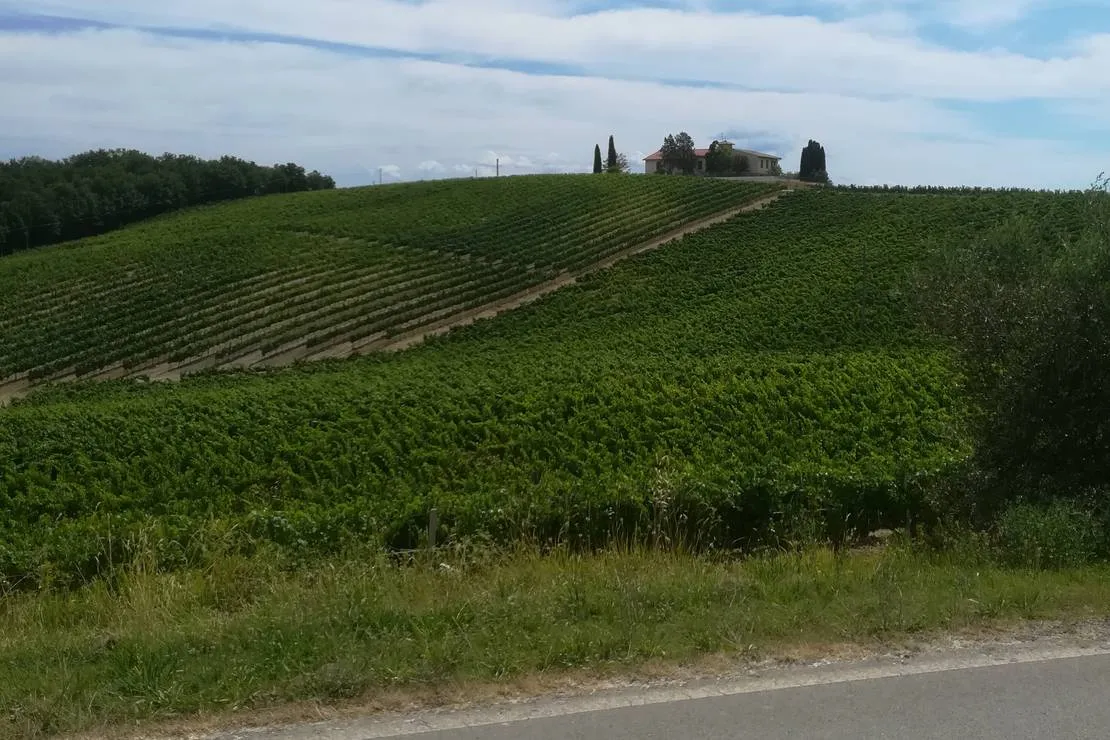 agricaming-poggio-ai-pini-certaldo-20usg