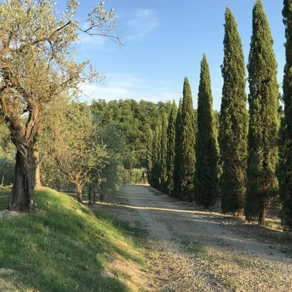 agricaming-poggio-ai-pini-certaldo-bvt7k
