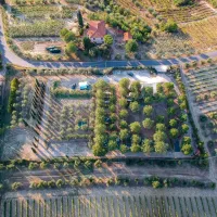 agricaming-poggio-ai-pini-certaldo-ejri9