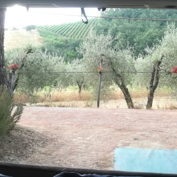 agricaming-poggio-ai-pini-certaldo-kljn1