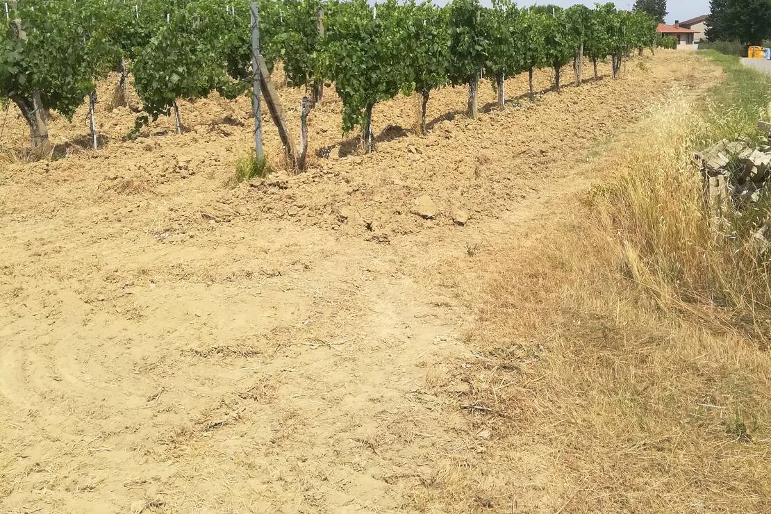 agricaming-poggio-ai-pini-certaldo-t6l9a