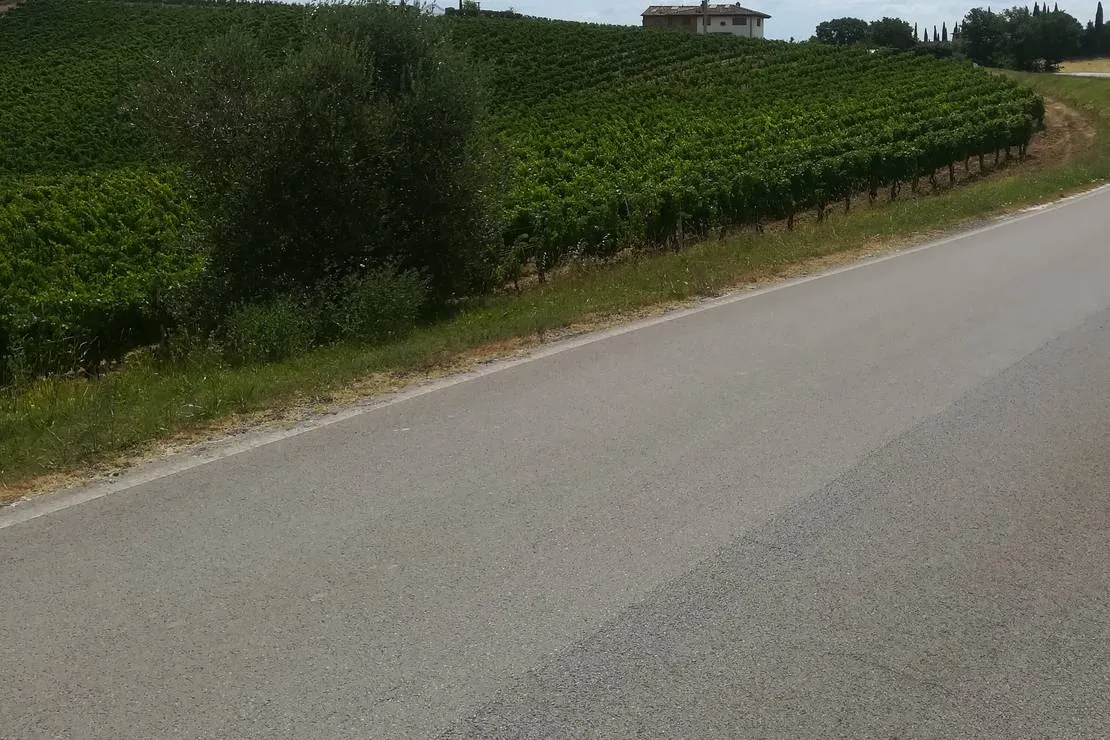 agricaming-poggio-ai-pini-certaldo-yj7fn