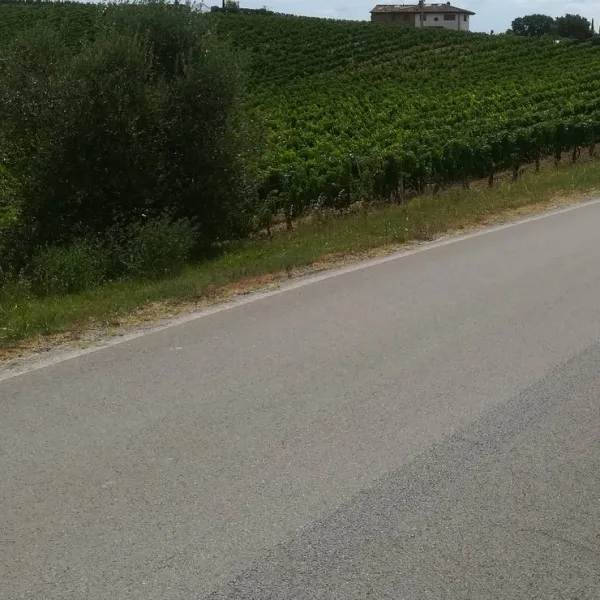 agricaming-poggio-ai-pini-certaldo-yj7fn