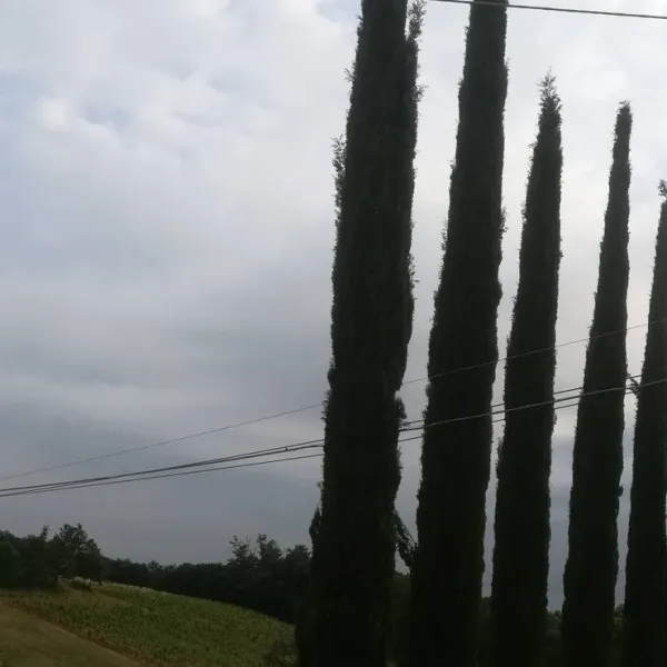 agricaming-poggio-ai-pini-certaldo-zlncp