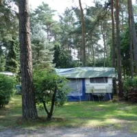 Camping in den Tannen