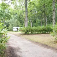 huttopia-rambouillet-rambouillet-vlniu
