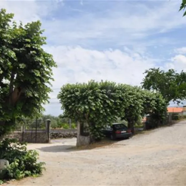 parque-de-campismo-quinta-das-cegonhas-melo-xyrsi