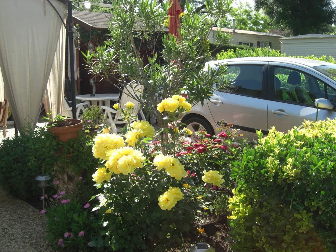 eden-biot-htgp0