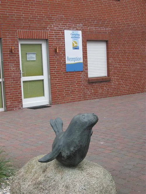 camping-am-deich-nordsee-krummhrnupleward-kyem1