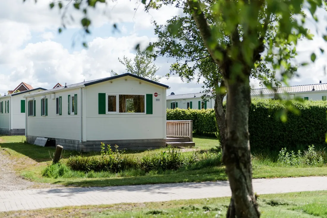 camping-am-deich-nordsee-krummhrnupleward-oyw0v