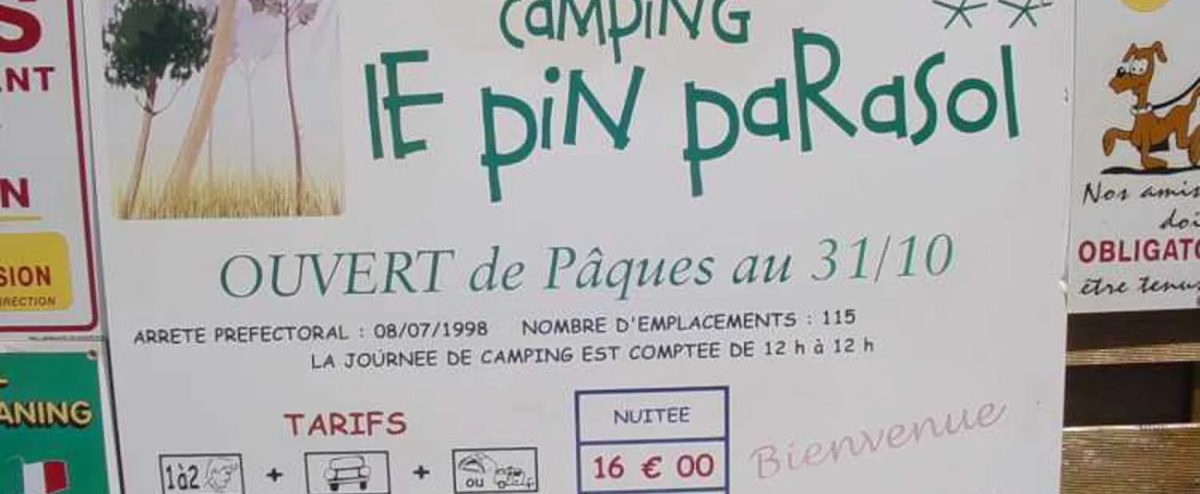 Camping Le Pin Parasol