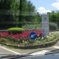 campeggio-norcenni-girasole-club-figline-valdarno-c2blq