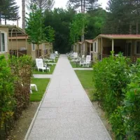 campeggio-norcenni-girasole-club-figline-valdarno-iv125