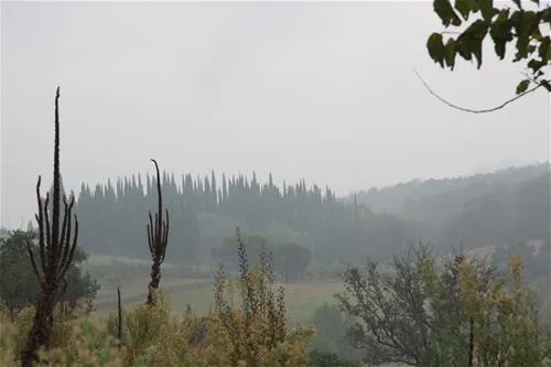campeggio-norcenni-girasole-club-figline-valdarno-trgvd