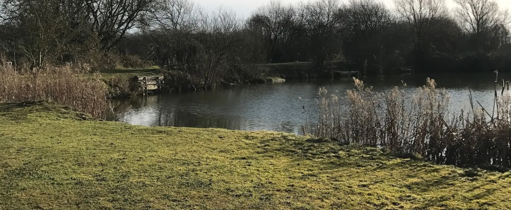 Ashby Park