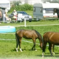 auhof-camping-brs-djcab
