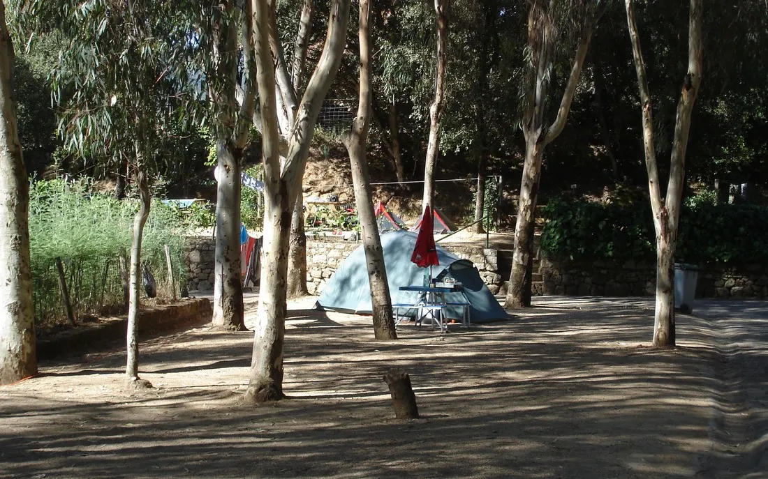 camping-les-mimosas-ajaccio-prs80