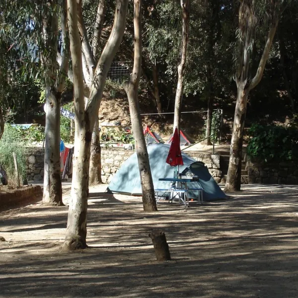 camping-les-mimosas-ajaccio-prs80
