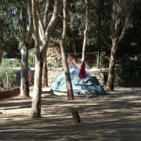 camping-les-mimosas-ajaccio-prs80