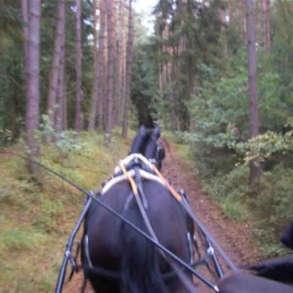 camping-zum-oertzewinkel-munsterkreutzen-2cch3