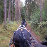 camping-zum-oertzewinkel-munsterkreutzen-2cch3