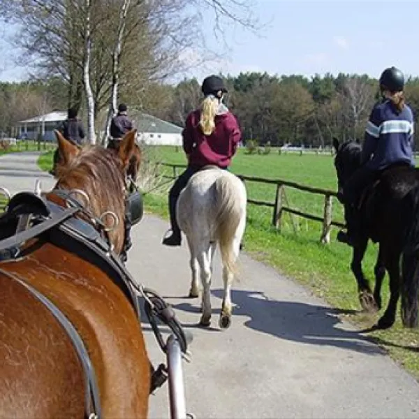 camping-zum-oertzewinkel-munsterkreutzen-ag0zq